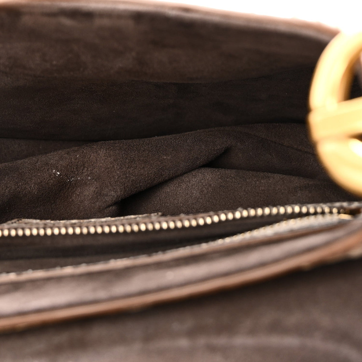 Metallic Snakeskin Saddle Bag Gold Multicolor
