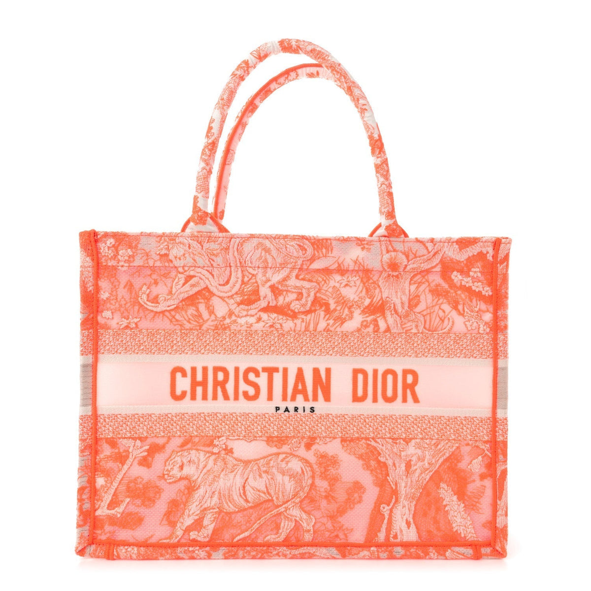 Transparent Canvas Embroidered Medium Dioriviera Toile De Jouy Book Tote