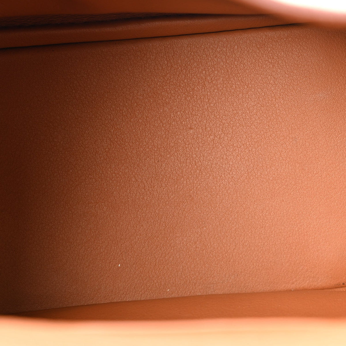 Taurillon Clemence Mini Lindy 20 Gold