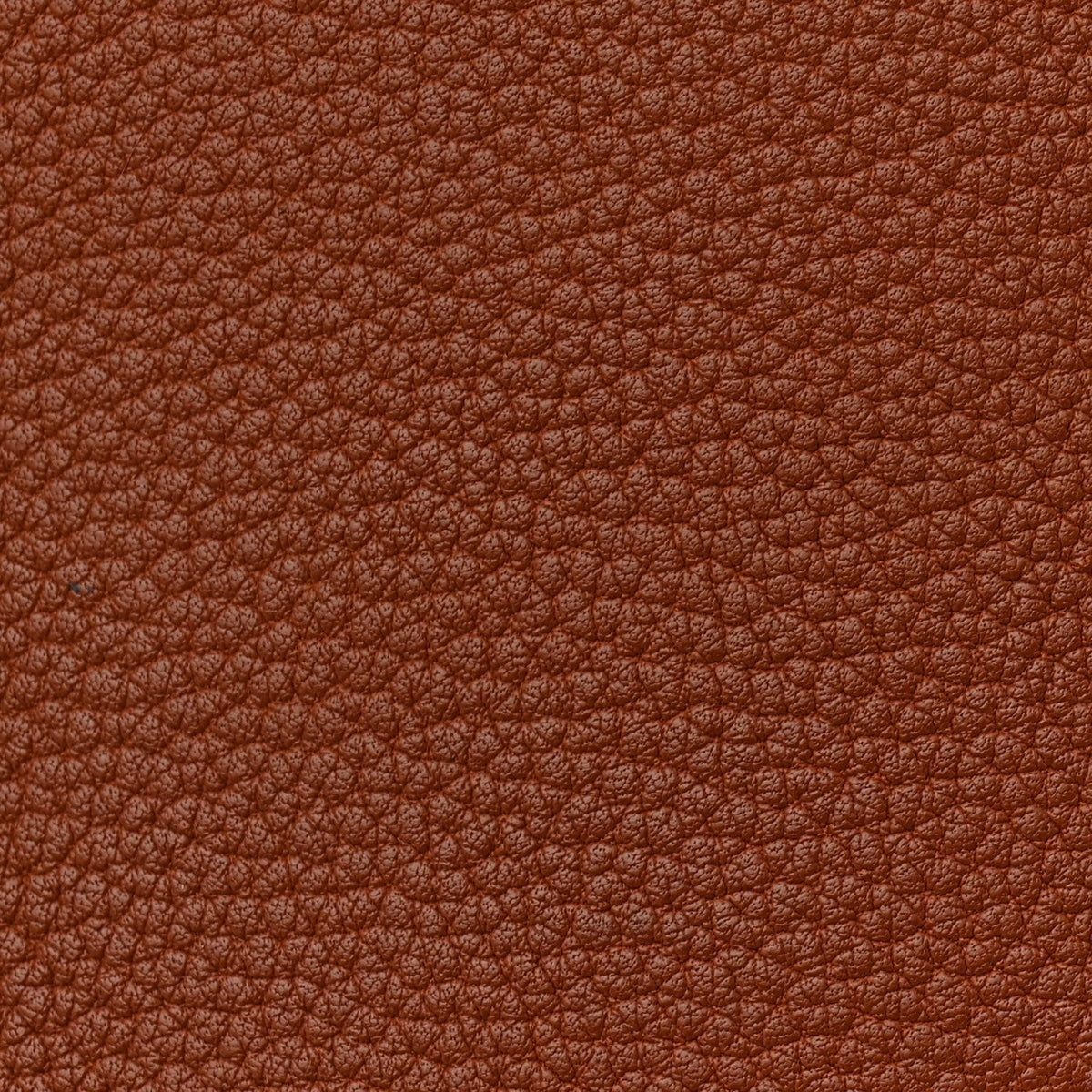 Chévre de Coromandel Plume 32 Gold
